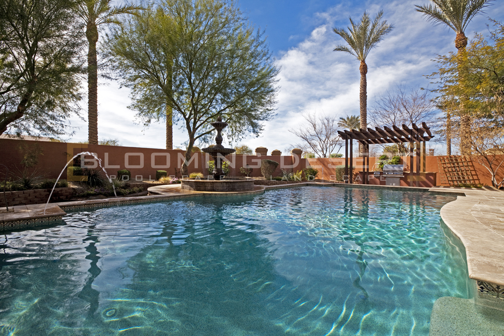 How Much Does It Cost To Build A Pool In Phoenix Blooming Desert Pools Landscape