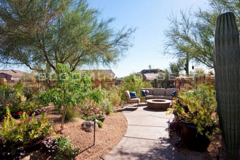 phoenix landscaping Archives Blooming Desert Pools & Landscape
